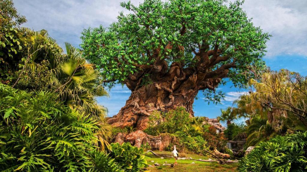 Disney'S All-Star Sports Resort เซเลเบรชัน ภายนอก รูปภาพ